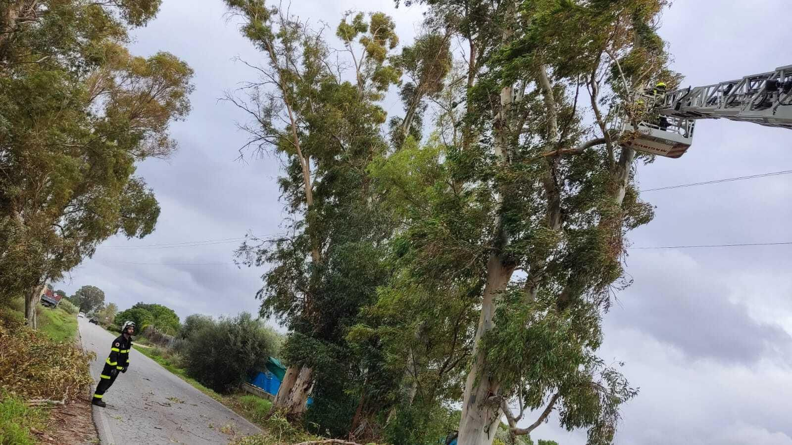 Los bomberos actuando en la carretera entre San José Obrero y Guadalcacín. Los bomberos actuando en la carretera entre San José Obrero y Guadalcacín.