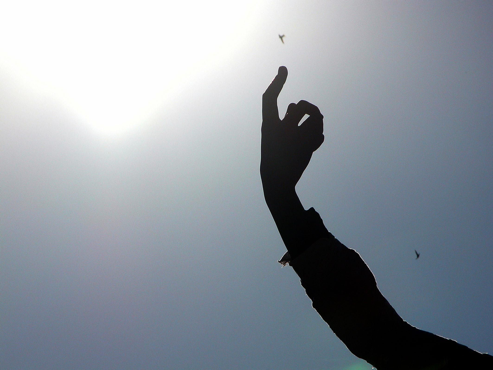 La mano del Giraldillo.