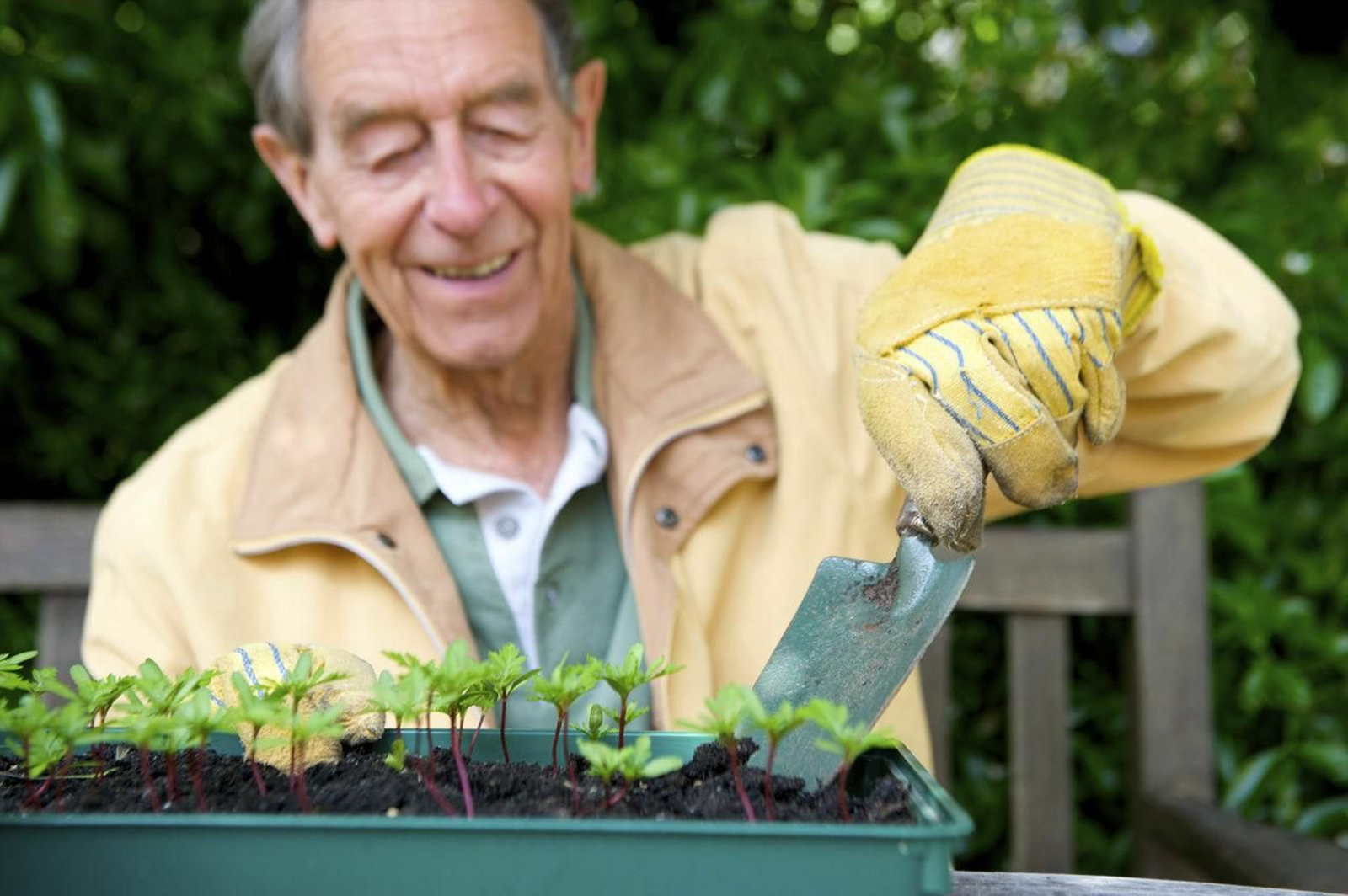 La interacción con las plantas y su cuidado ayuda a mantener el interés y la atención de los mayores.