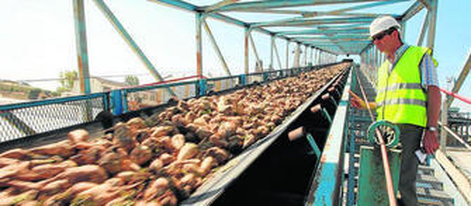 Un operario trabajando en una cinta transportadora, en una imagen de archivo.