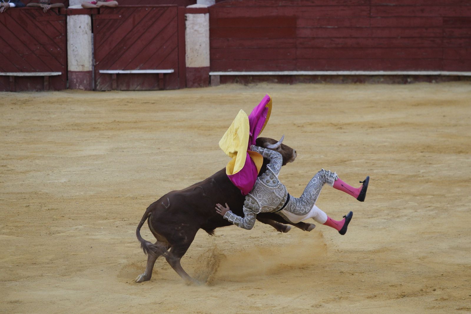 Fotogalería novillada Escuela Taurina de Almería. Feria de Almería 2019