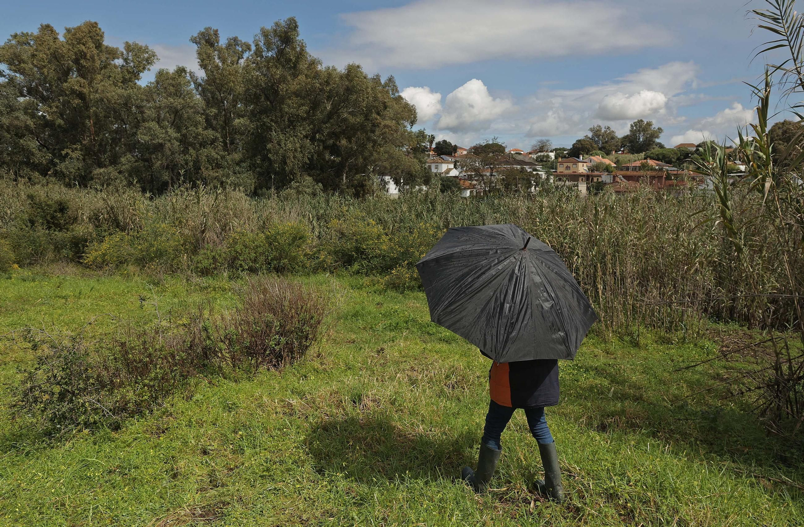 Fotos de los desperfectos e irregularidades en La Menacha