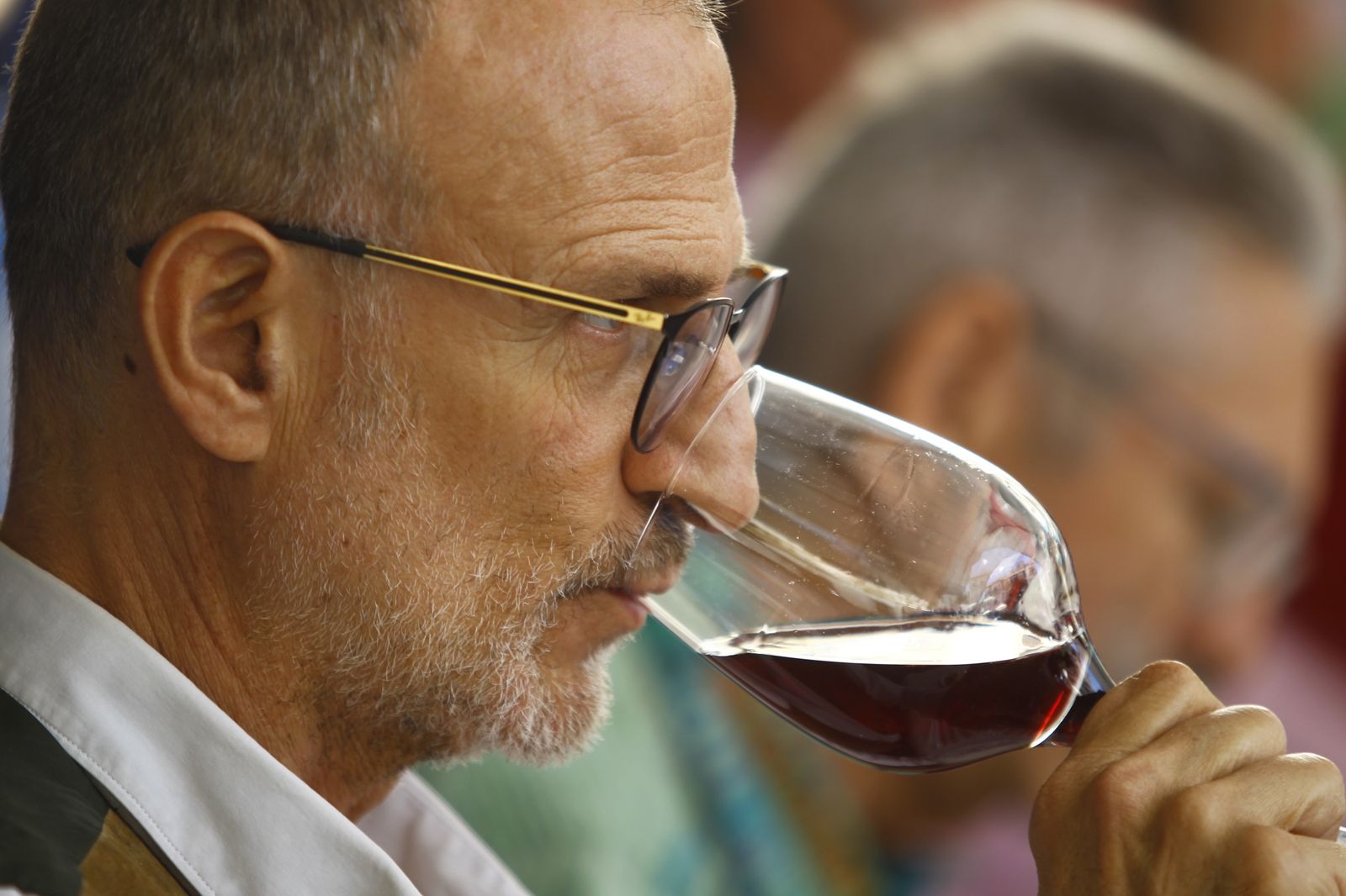 Imágenes de las Fiestas de Abrucena: concurso de mostos, encierro infantil y migas populares