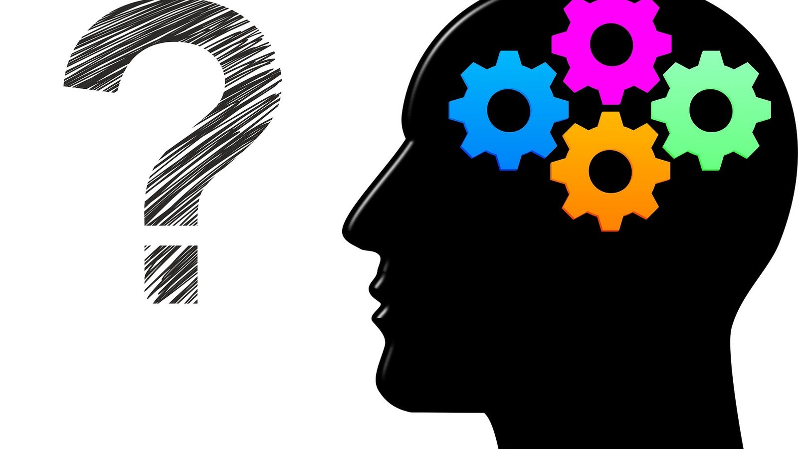 Funcionamiento del cerebro humano