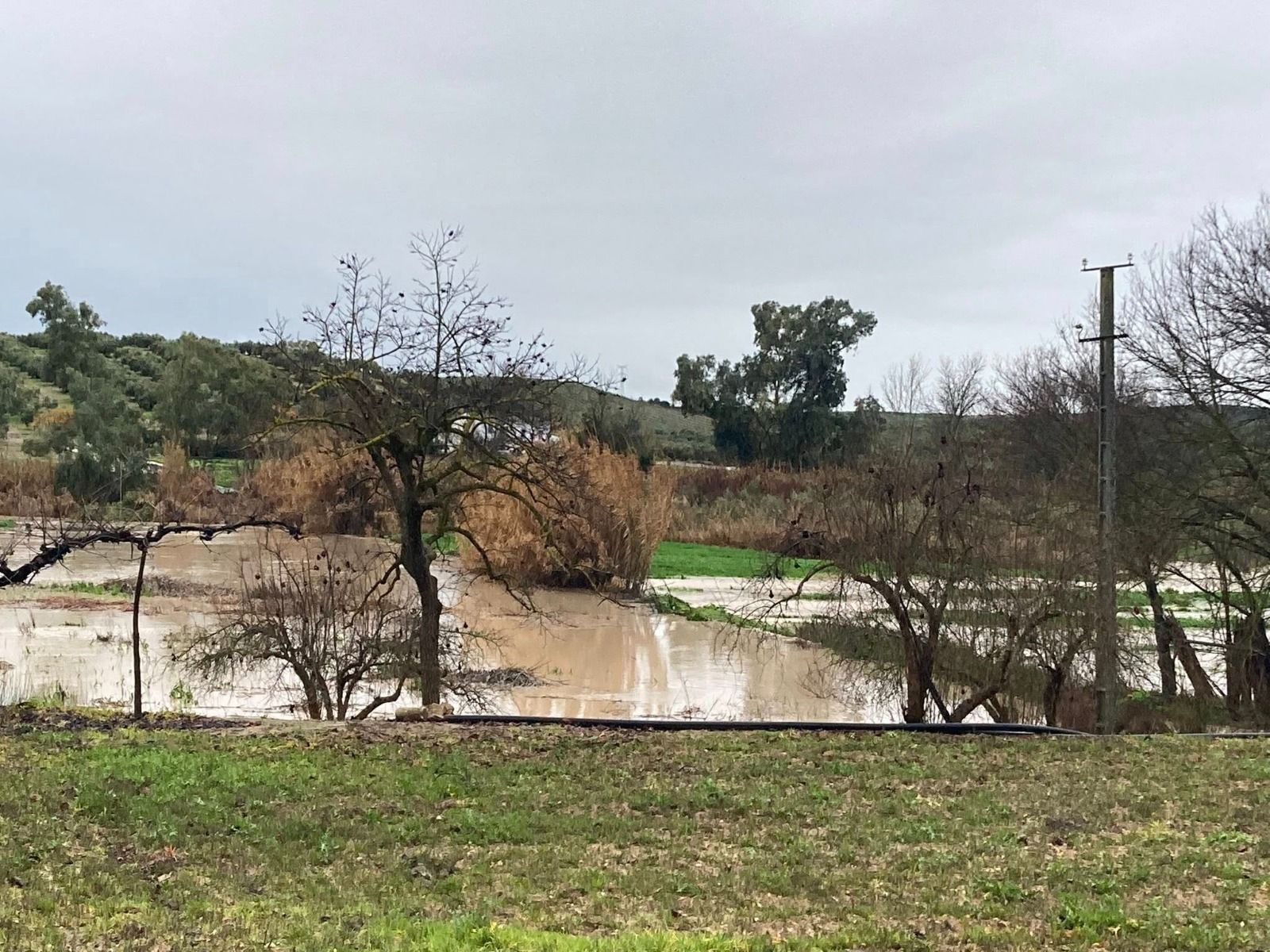 El río Cabra, desbordado en las Huertas Bajas (Cabra).