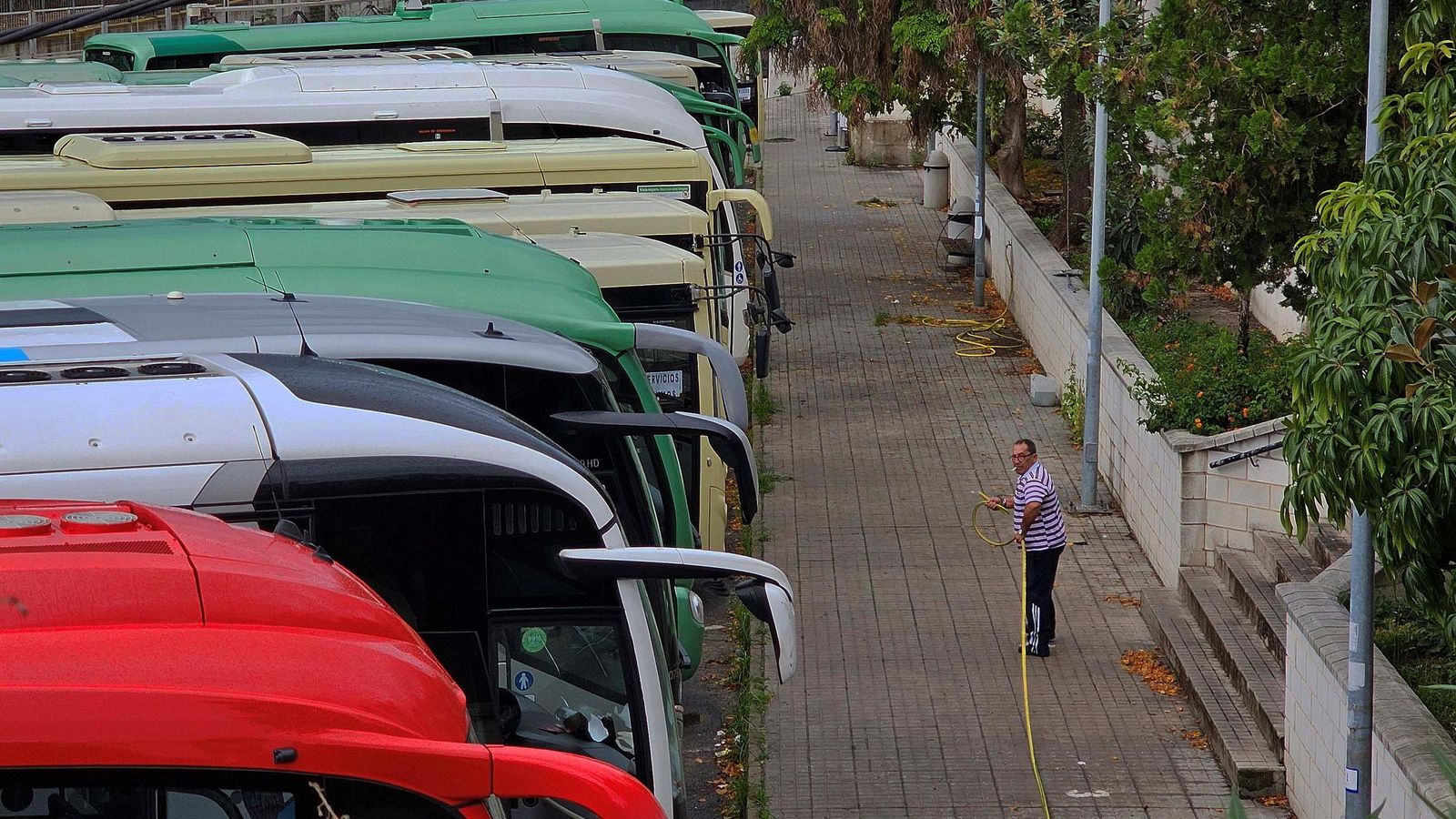 Una hilera de autobuses estacionados en Algeciras.