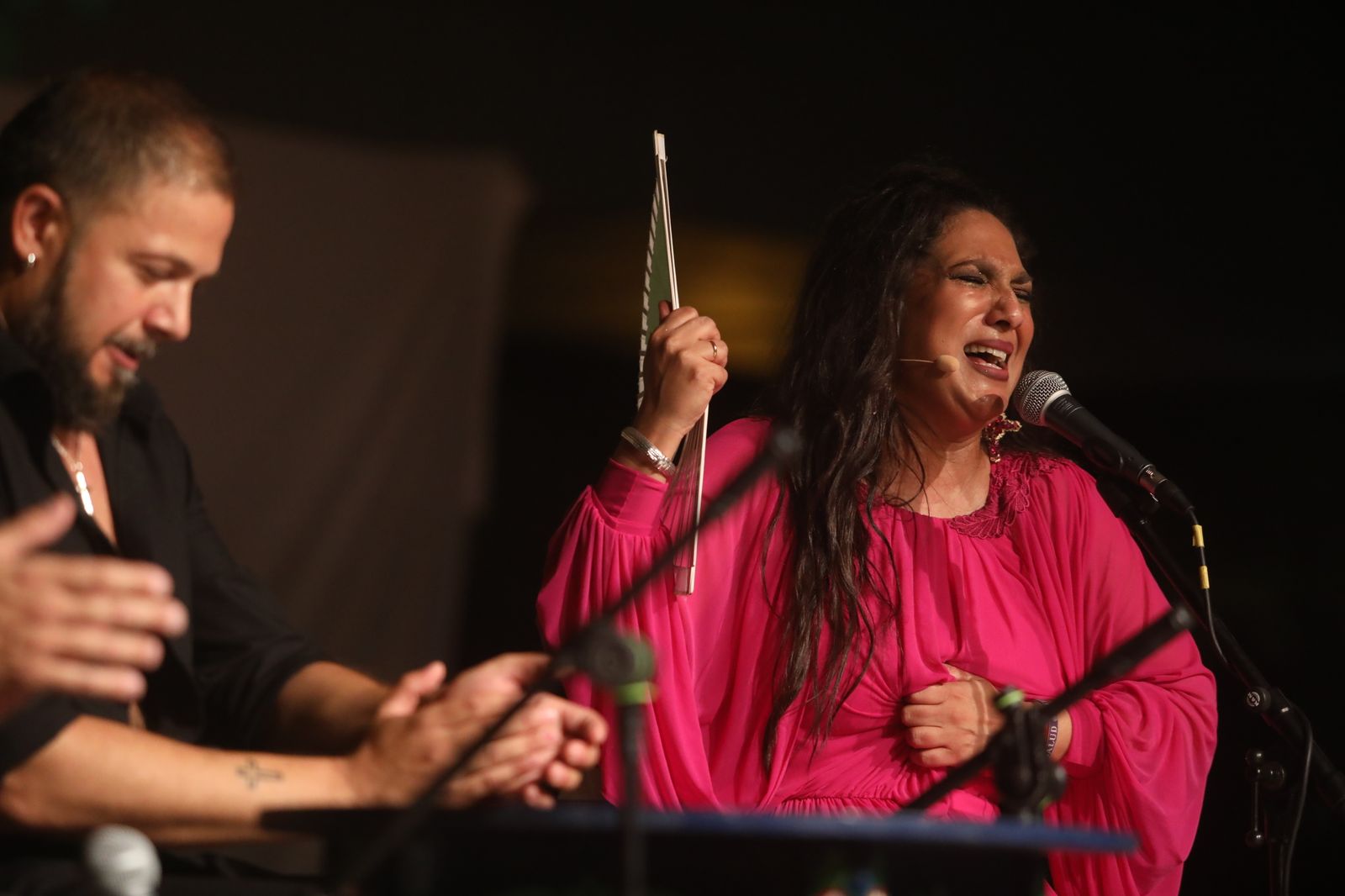 La noche flamenca en el Parque de San Fernando, en imágenes