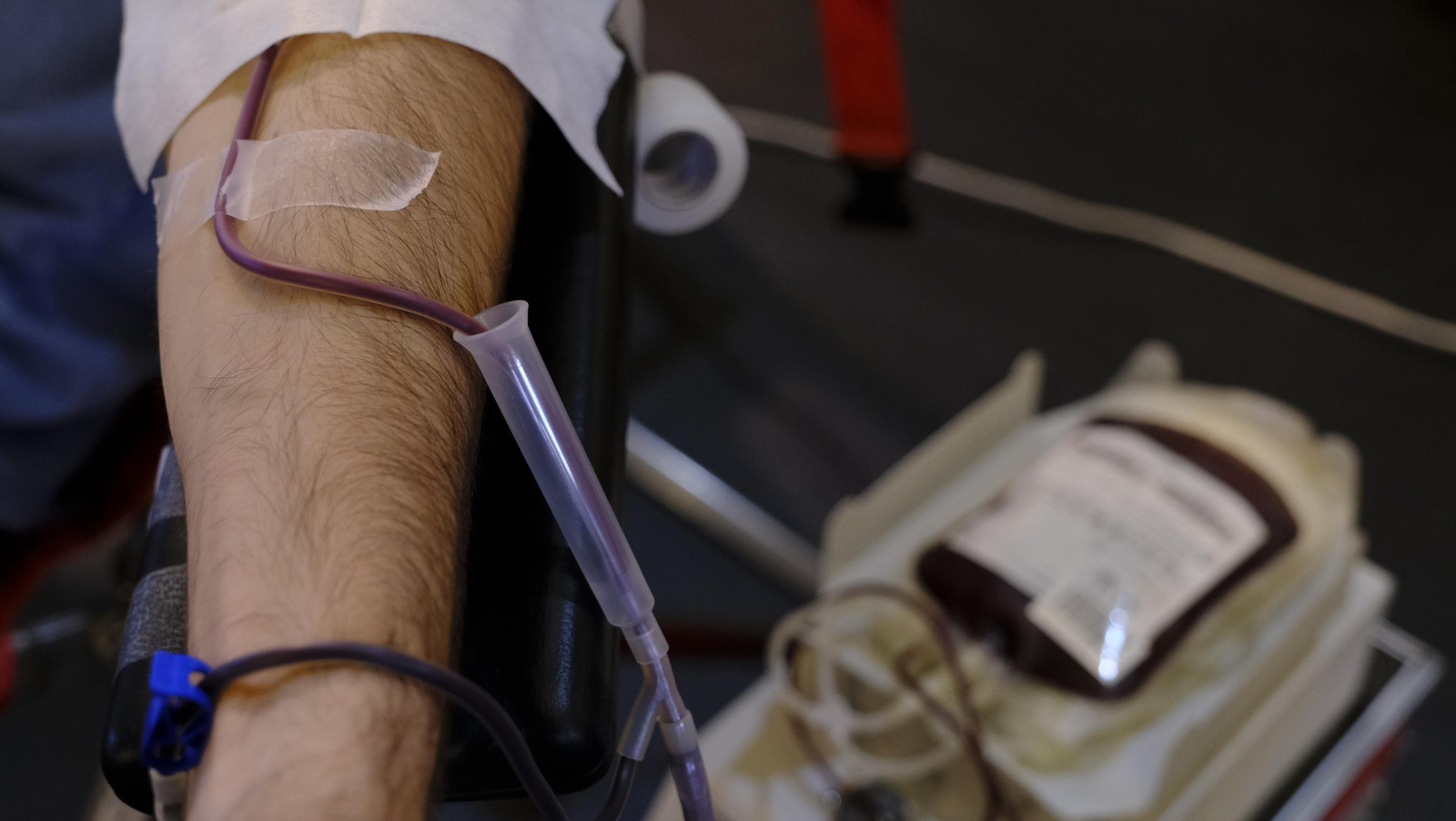 Imágenes de la donación colectiva de sangre y plasma en el Pabellón Rafael Florido