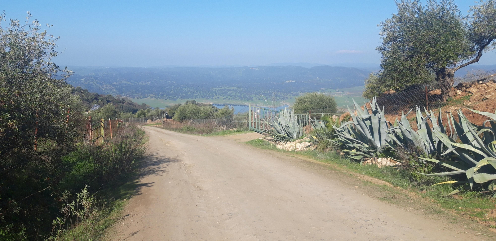 Circular de Las Palomas en La Puebla de los Infantes