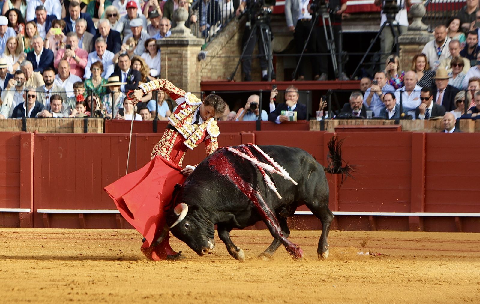 Las mejores imágenes de la corrida de toros de Juan Ortega, Roca Rey y Pablo Aguado