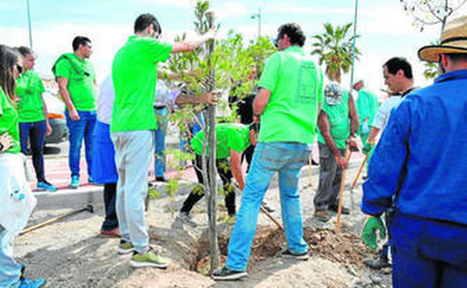 El Bulevar Ciudad de Vícar va a presumir de nuevo arbolado.