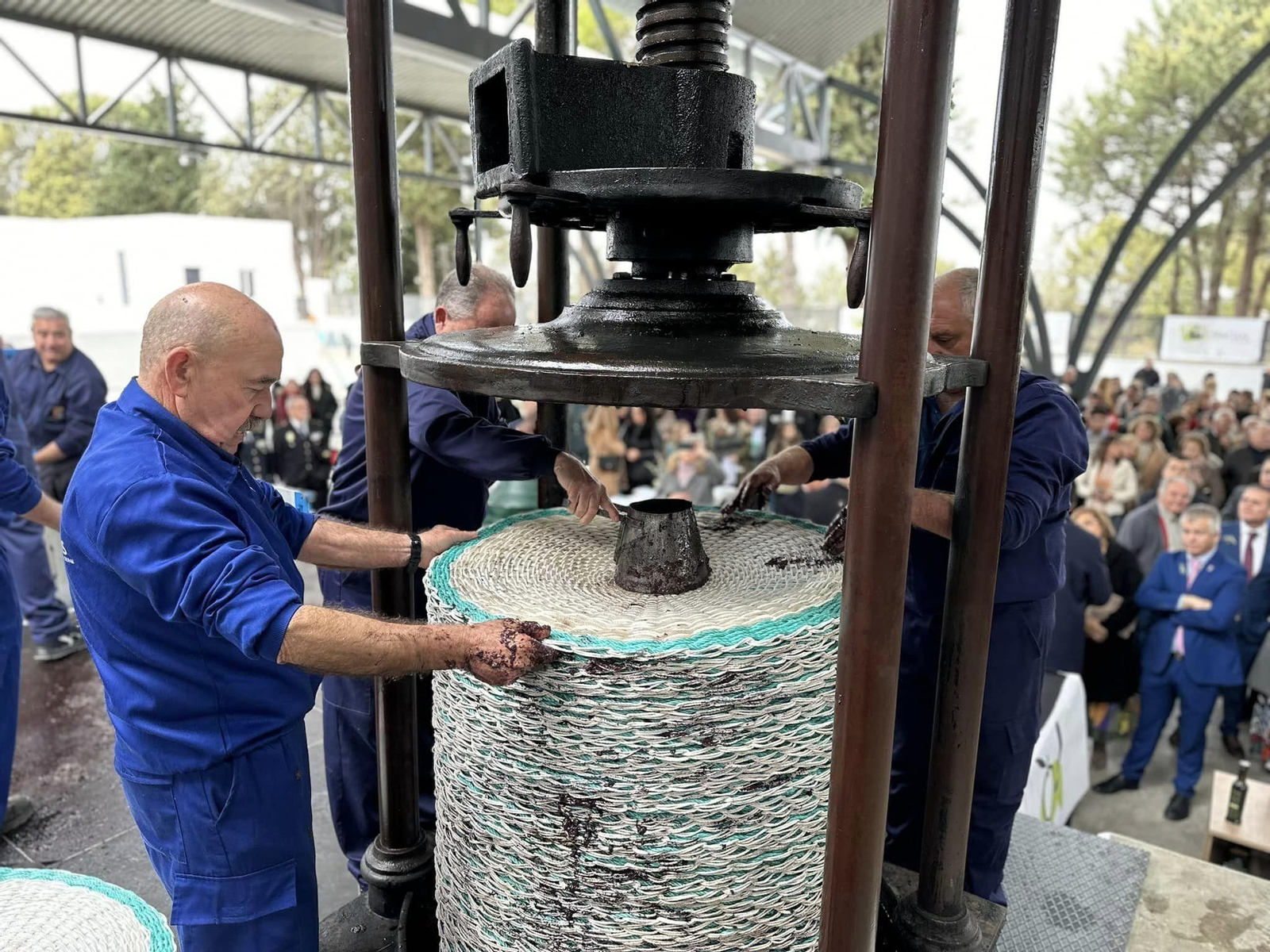 En imágenes: así se ha vivido la Fiesta de la Aceituna de Martos