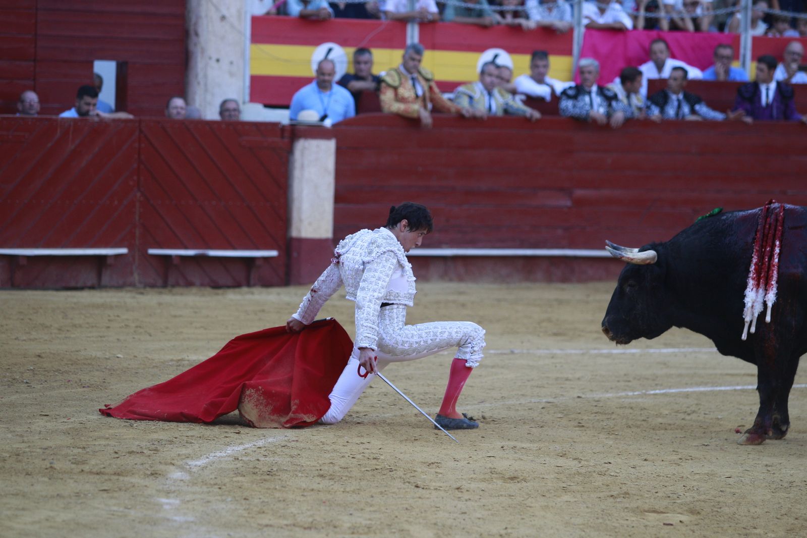Imágenes del triunfo del torero almeriense Jorge Martínez el día de su alternativa