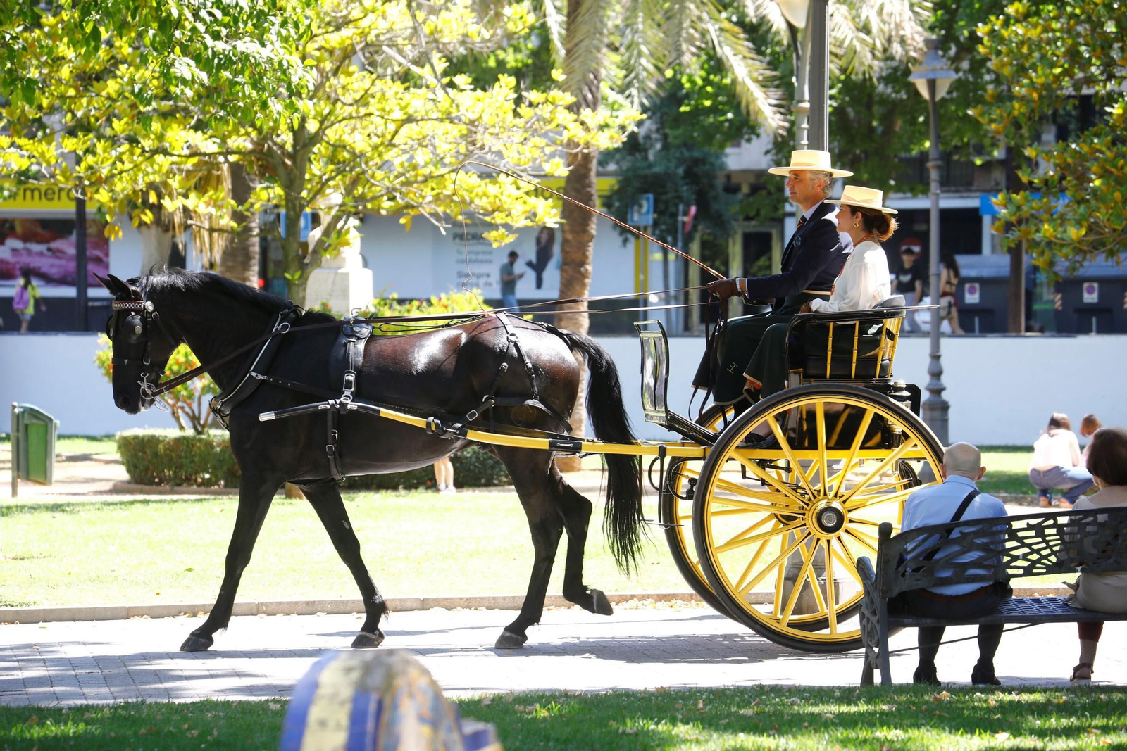 Un carruaje tirado por un caballo el pasado sábado.