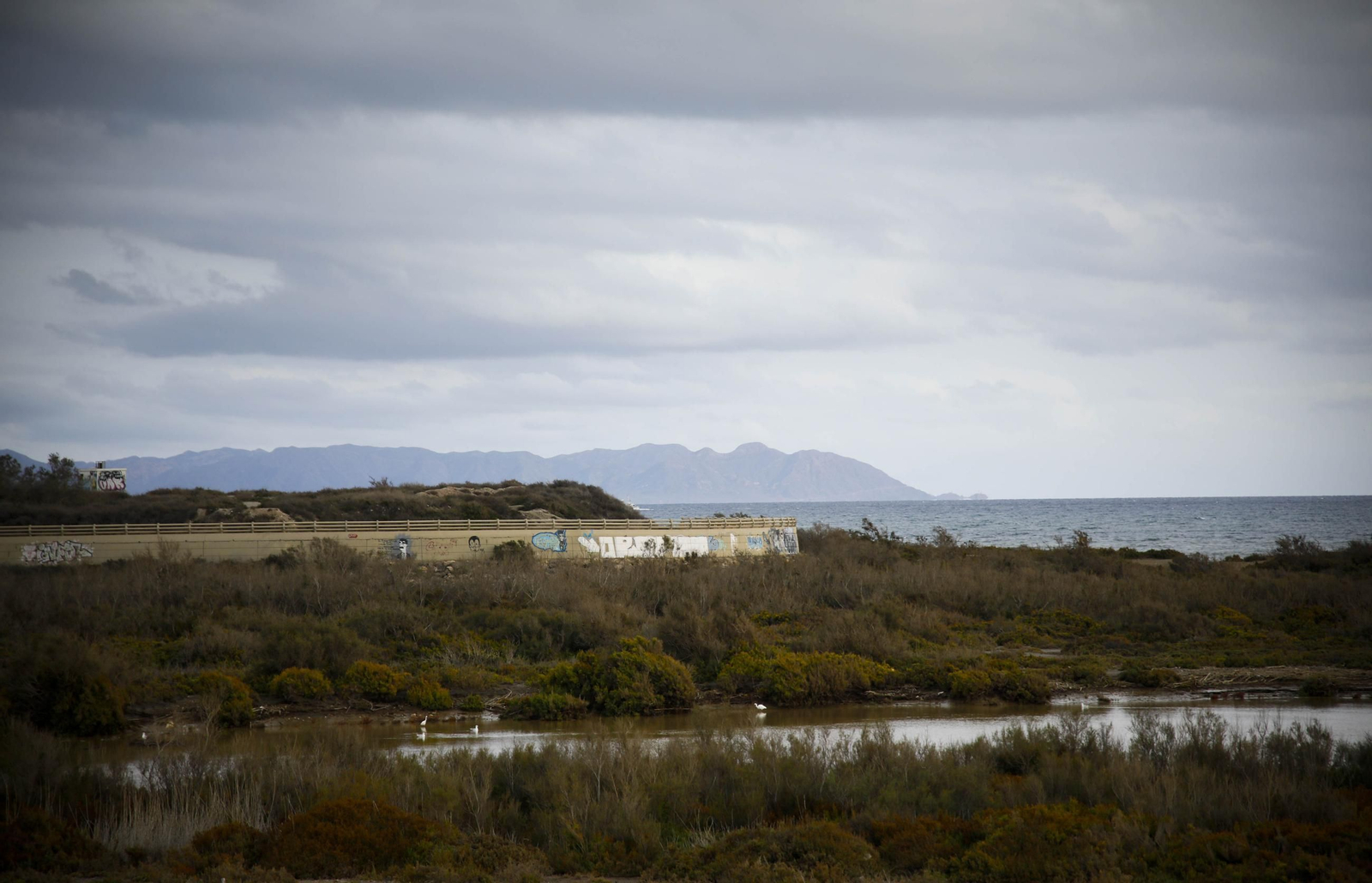 La desembocadura del río Andarax, en imágenes