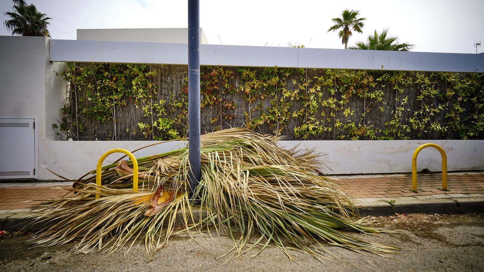 Bolsas de basura y restos de poda, acumuladas en una de las calles de la urbanización.