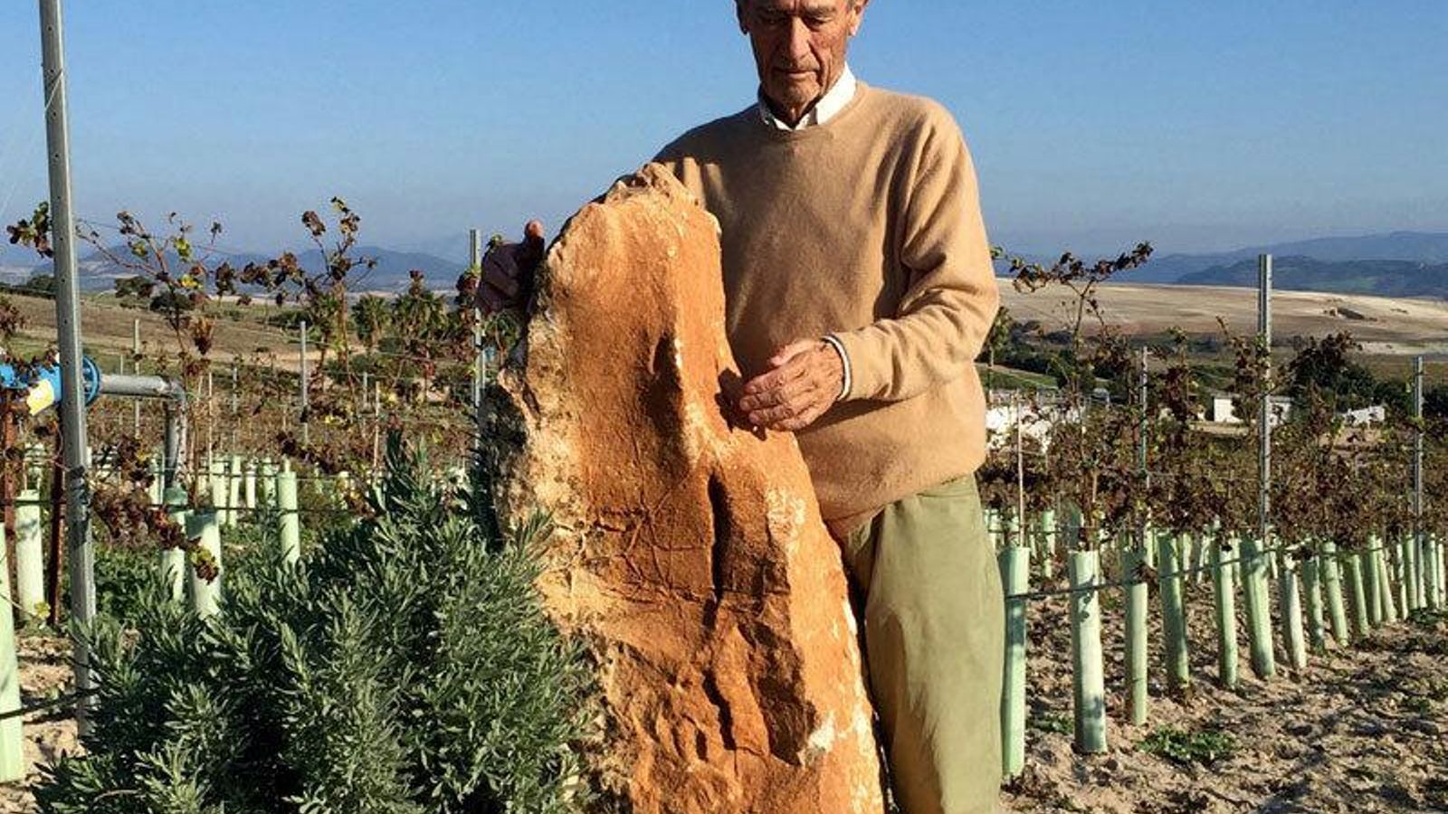 Francisco Javier Guardiola en la finca El Higueral, donde se sitúa la bodega biodinámica ‘GuardiWines’.