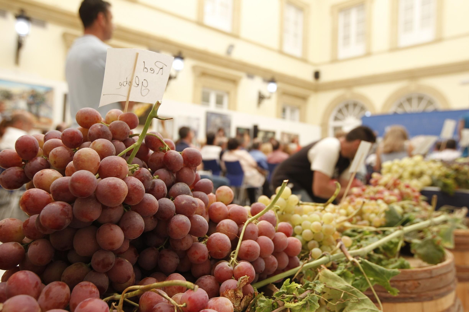 Las imágenes de la XIII Muestra de Variedades Históricas de Uvas de Mesa de la Provincia
