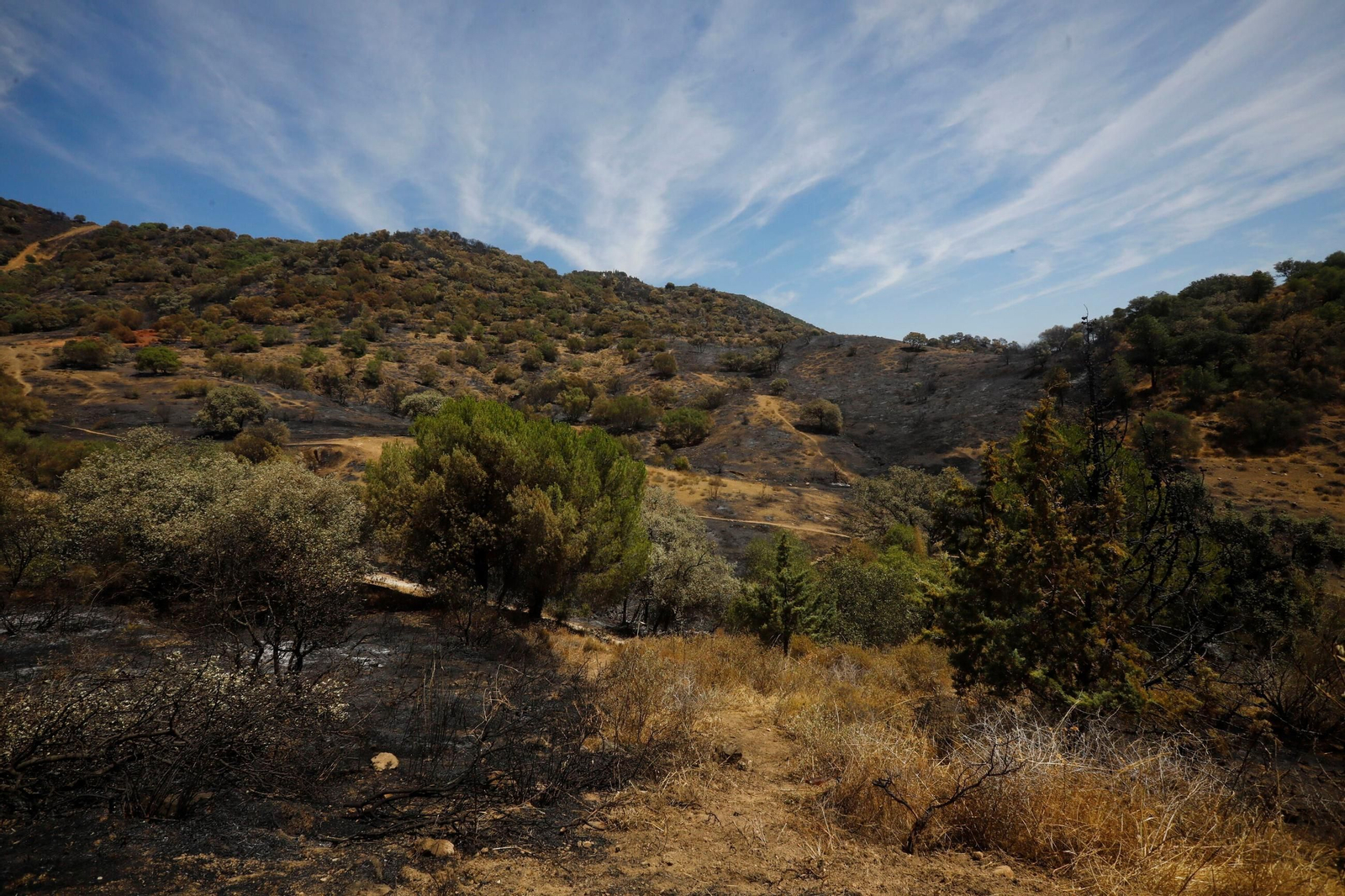 Zona cero del incendio de la Sierra de Córdoba
