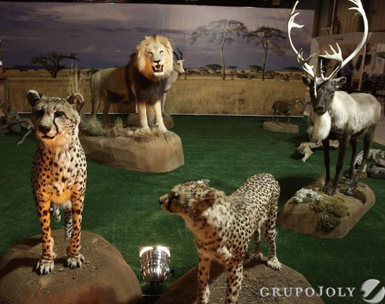 Foto: José Ángel García