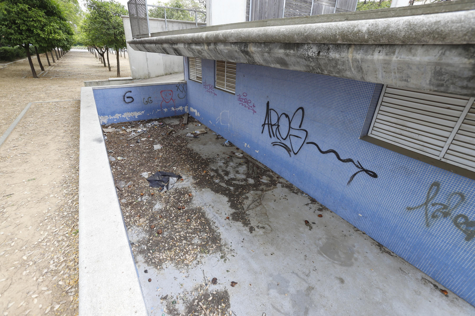 Imágenes del deterioro en la Avenida de Andalucía