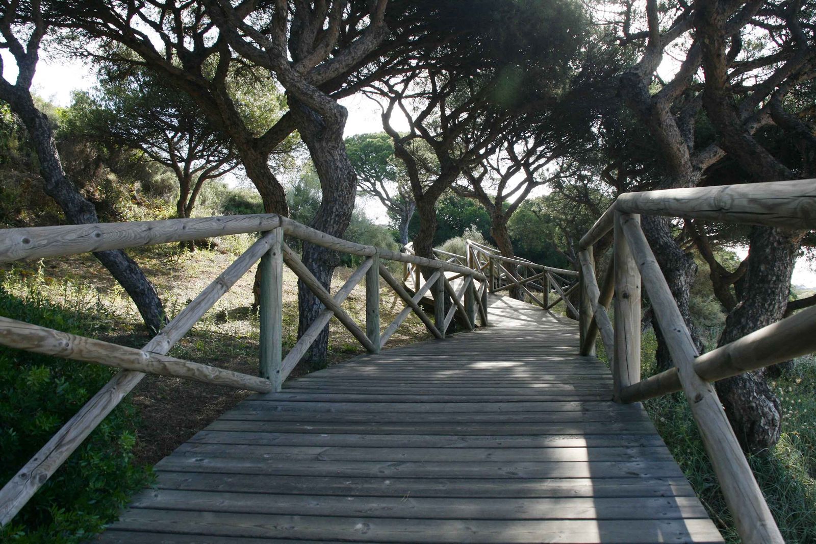 Nuevo Portil, una playa de Huelva que enamora