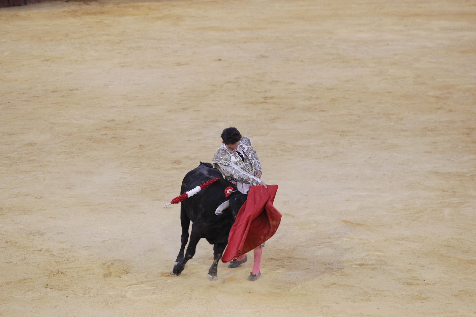 Fotogalería novillada Escuela Taurina de Almería. Feria de Almería 2019