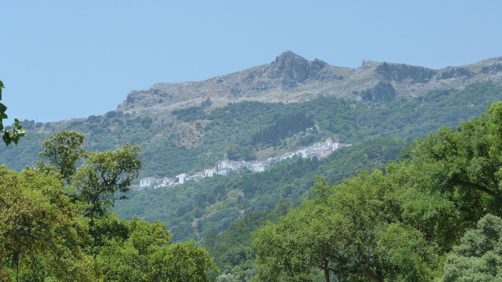 A lo lejos, Genalguacil, en uno de los tramos de la ruta de senderismo.
