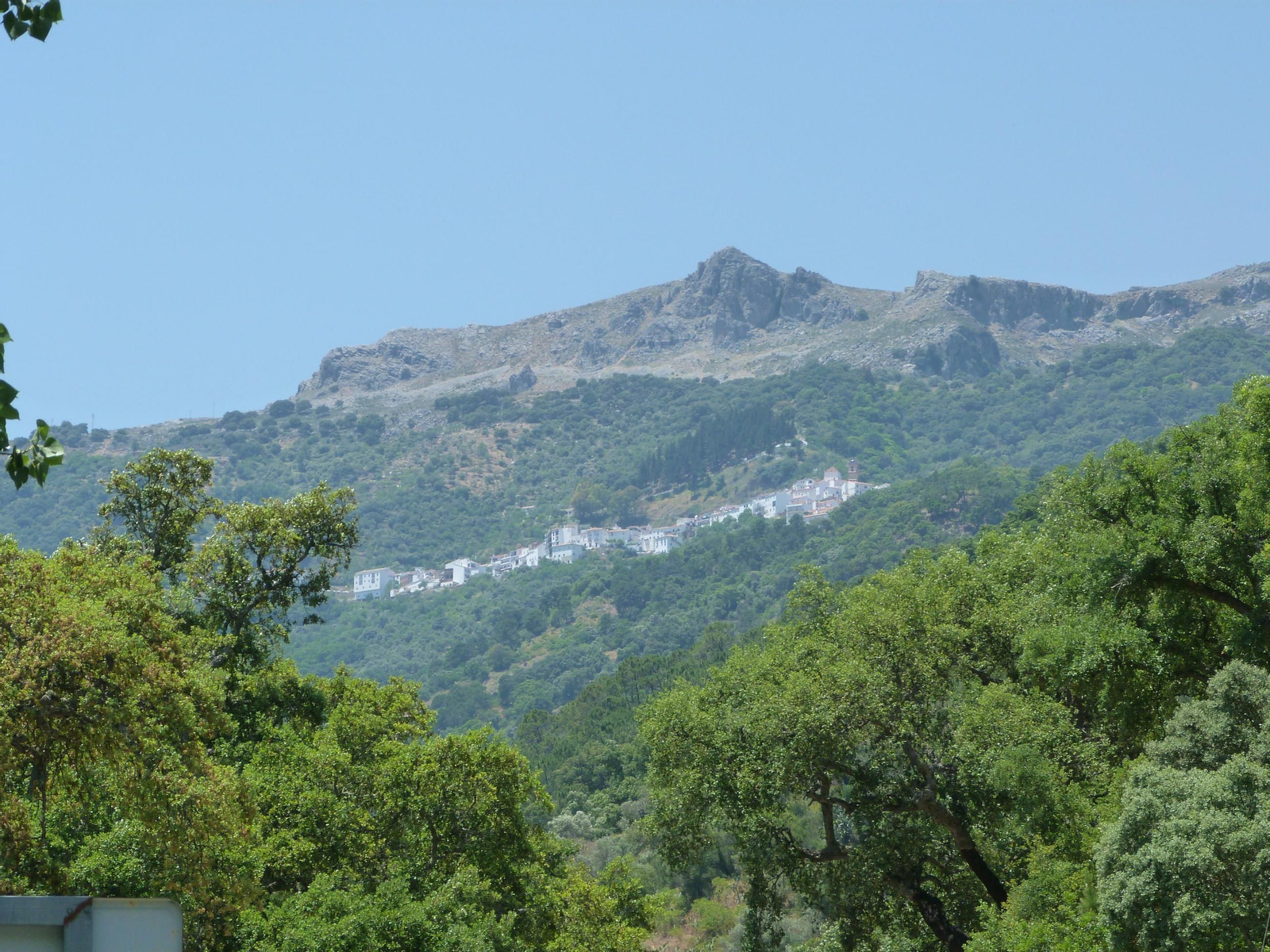 A lo lejos, Genalguacil, en uno de los tramos de la ruta de senderismo.