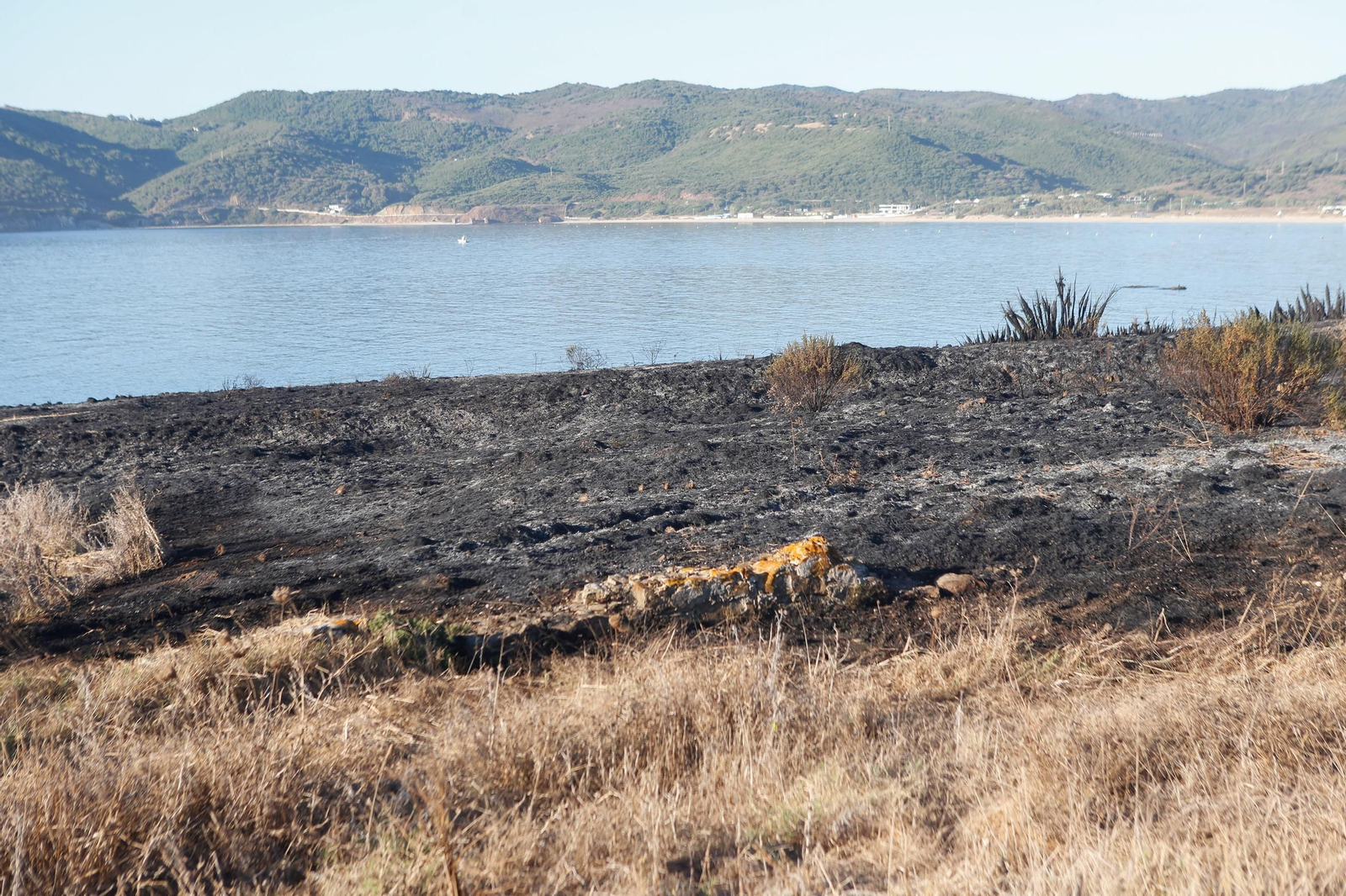 Daños en el Parque Centenario de Algeciras tras el incendio nocturno, en imágenes