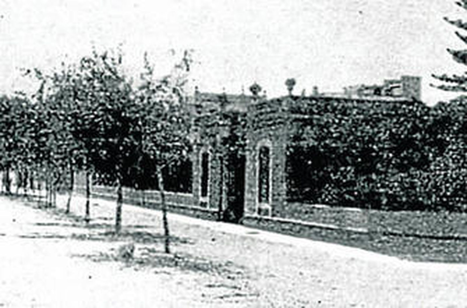 Pucheros para los pobres para combatir el cólera