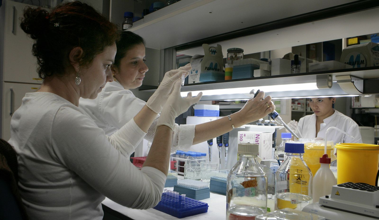 Científicos en el Laboratorio del IBIS.