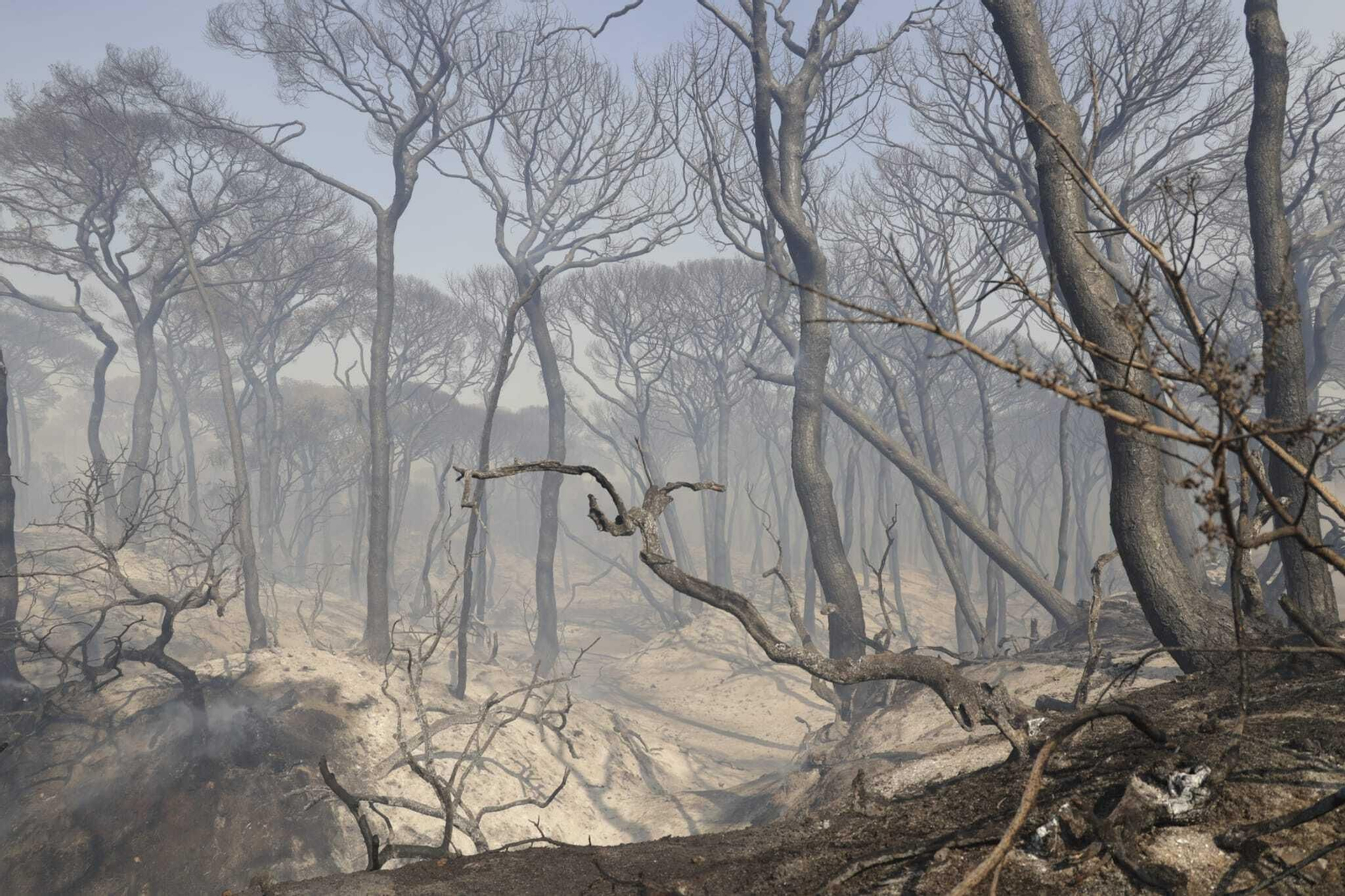 El fuego arrasa Las Canteras en Puerto Real