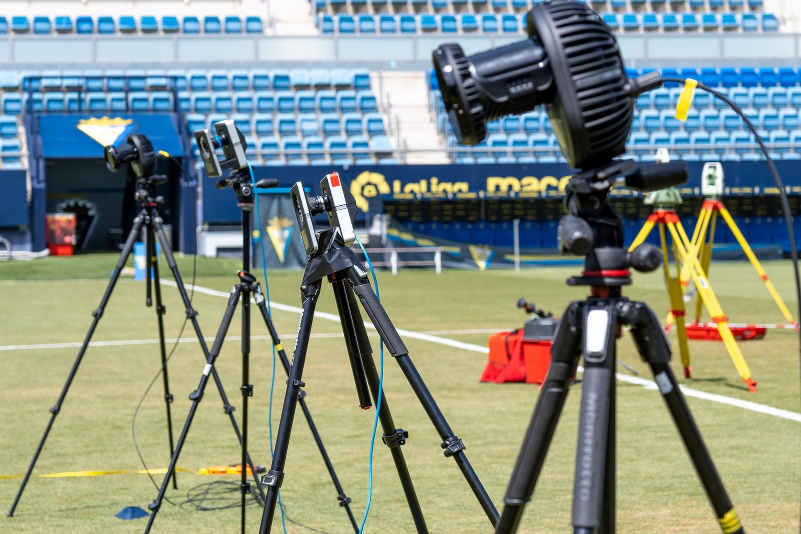 El césped del estadio ofrece este singular aspecto.