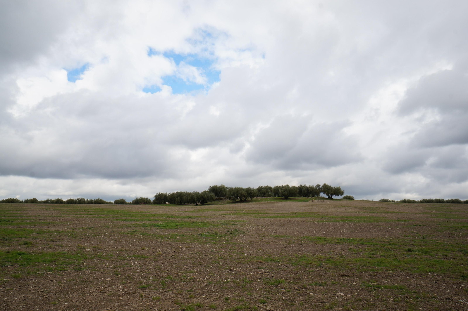 Los silos romanos del Carchena en Castro del Río, en fotografías
