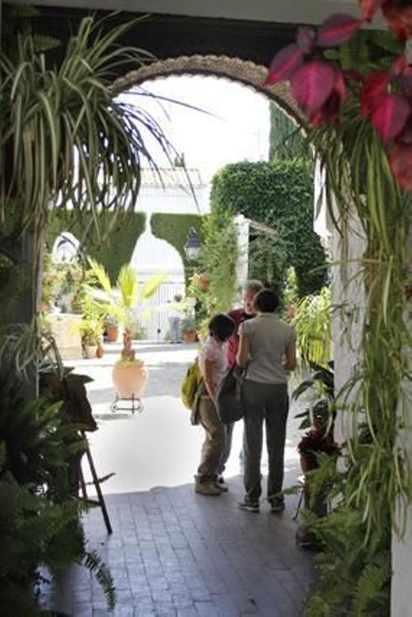 Siete revueltas 1.

Foto: Alex Gallegos / Macarena Gassin