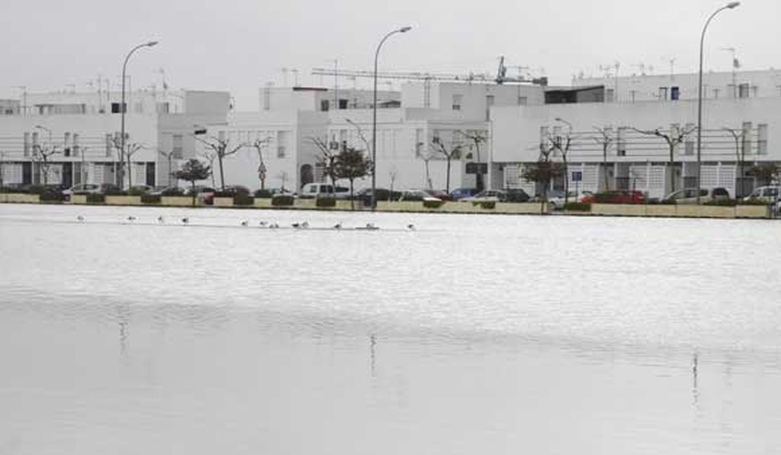 Chiclana se lleva la peor parte de las intensas lluvias que afectan a la provincia, provocando cortes de carreteras, desalojos de casas y crecidas de los ríos

Foto: Sonia Ramos/A.Mora/Rioja