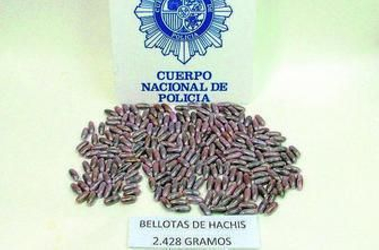 Imagen de las bellotas intervenidas durante la operación.
