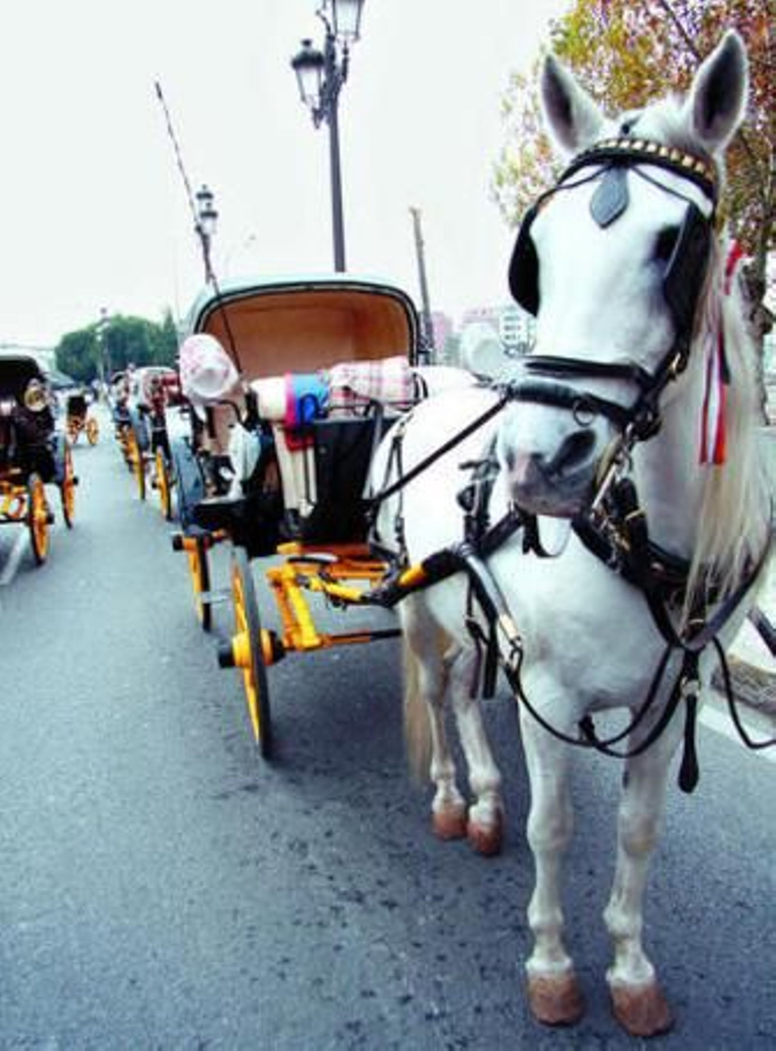 Las personas en silla de ruedas tienen serios problemas para moverse con las obras.