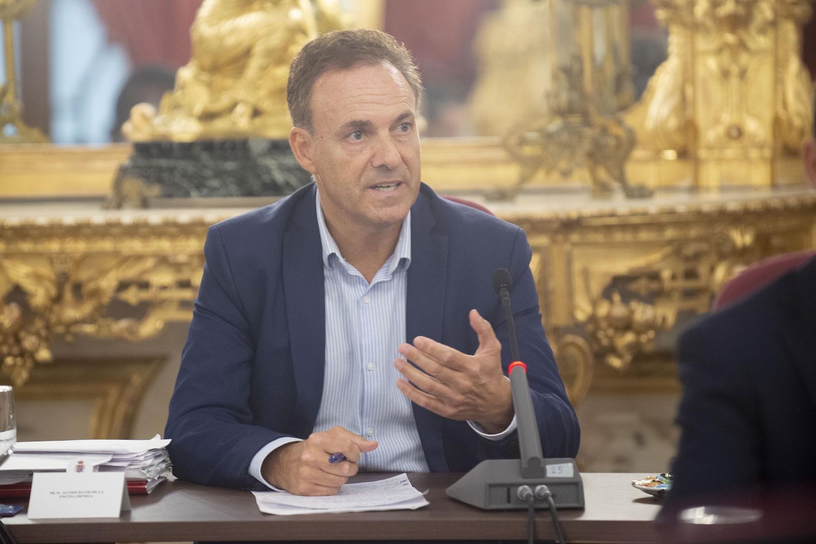 David de la Encina durante la sesión plenaria de este miércoles.