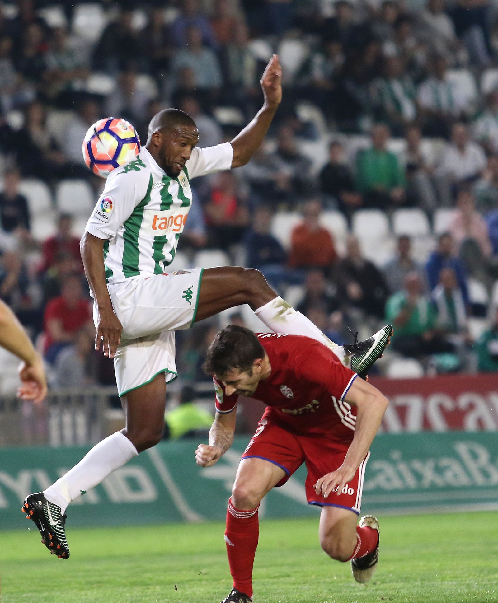 Las imágenes del Córdoba-Zaragoza