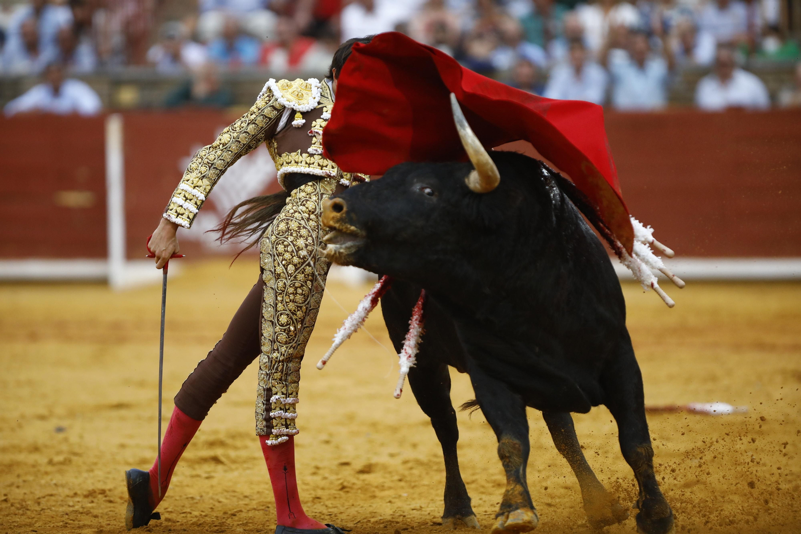 La corrida de Talavante, Roca Rey y Lagartijo, en Córdoba, en imágenes