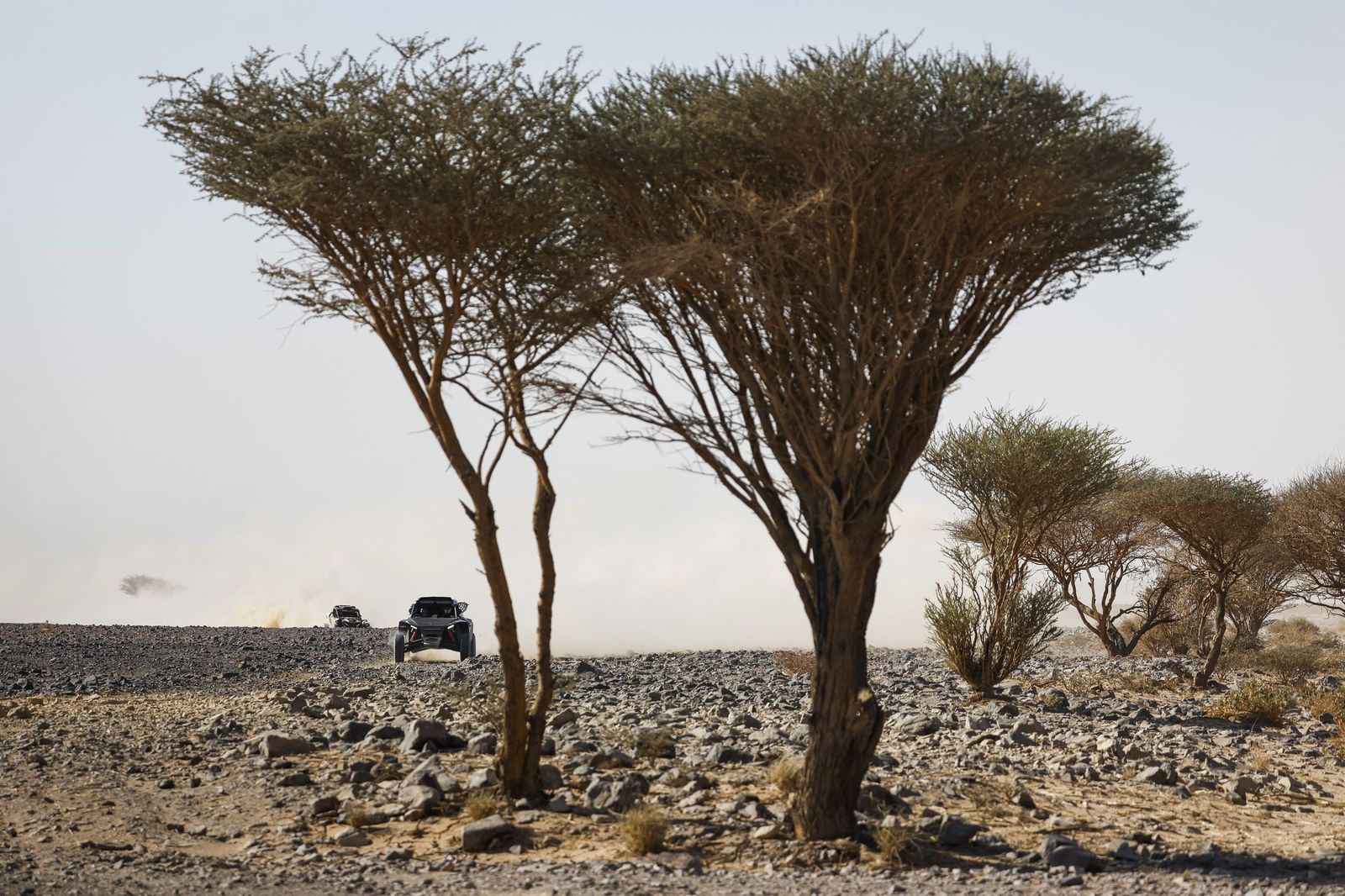 Las mejores fotos del Rally Dakar | Novena etapa