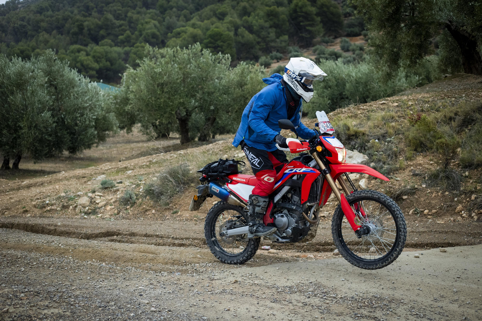 ¿Estuviste en la tercera edición de la ruta Olivobook? Búscate