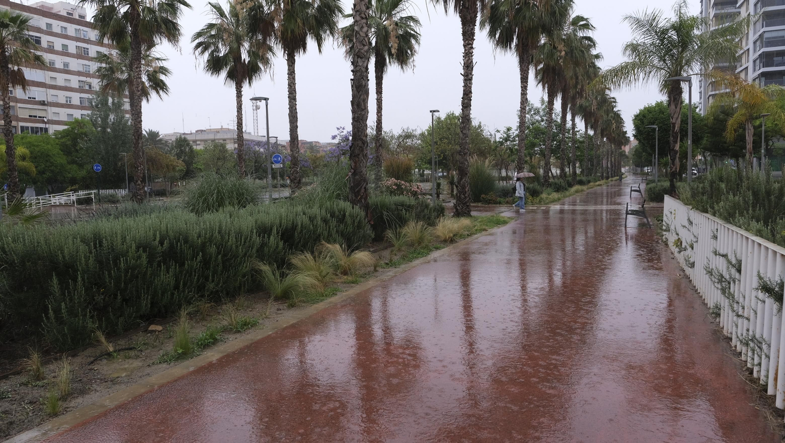 Los almerienses expresan su alegría por la lluvia