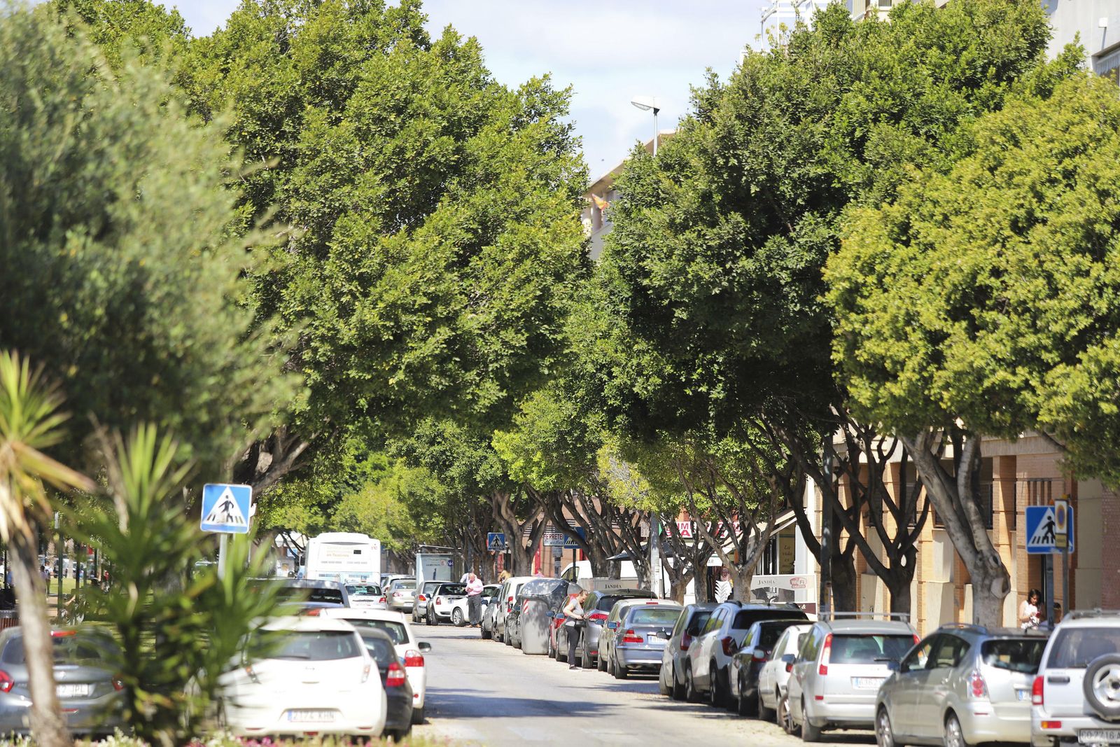 El Distrito Teatinos, en fotos
