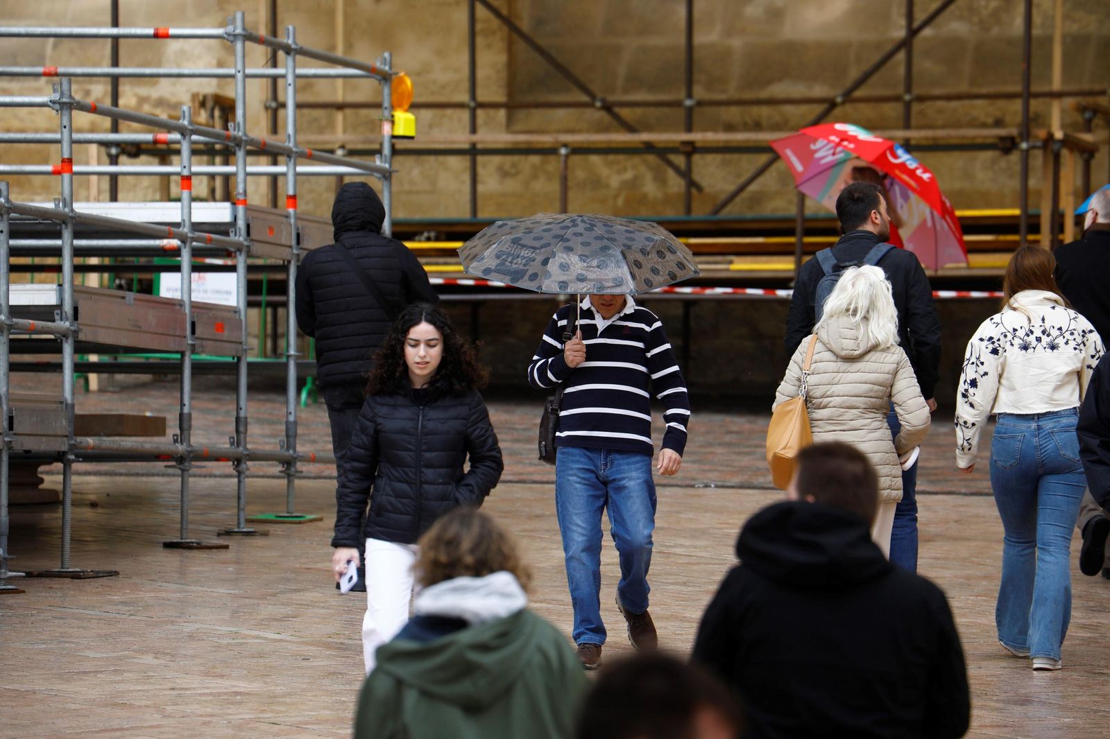 El paso de la borrasca Nuria por Córdoba, en imágenes