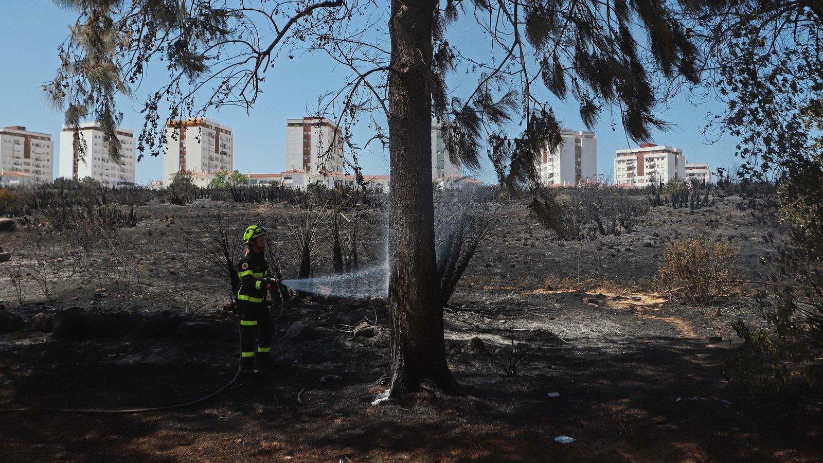 Un bombero refresca un árbol en el solar calcinado en La Juliana.