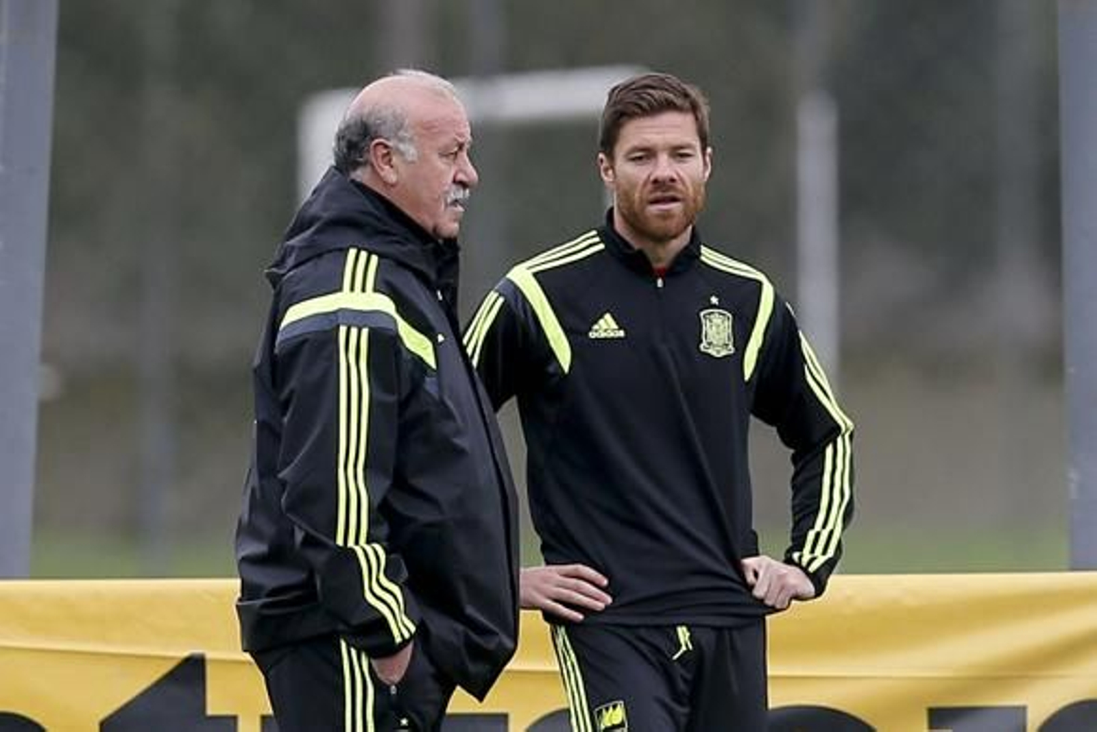 Xabi Alonso deja la selección