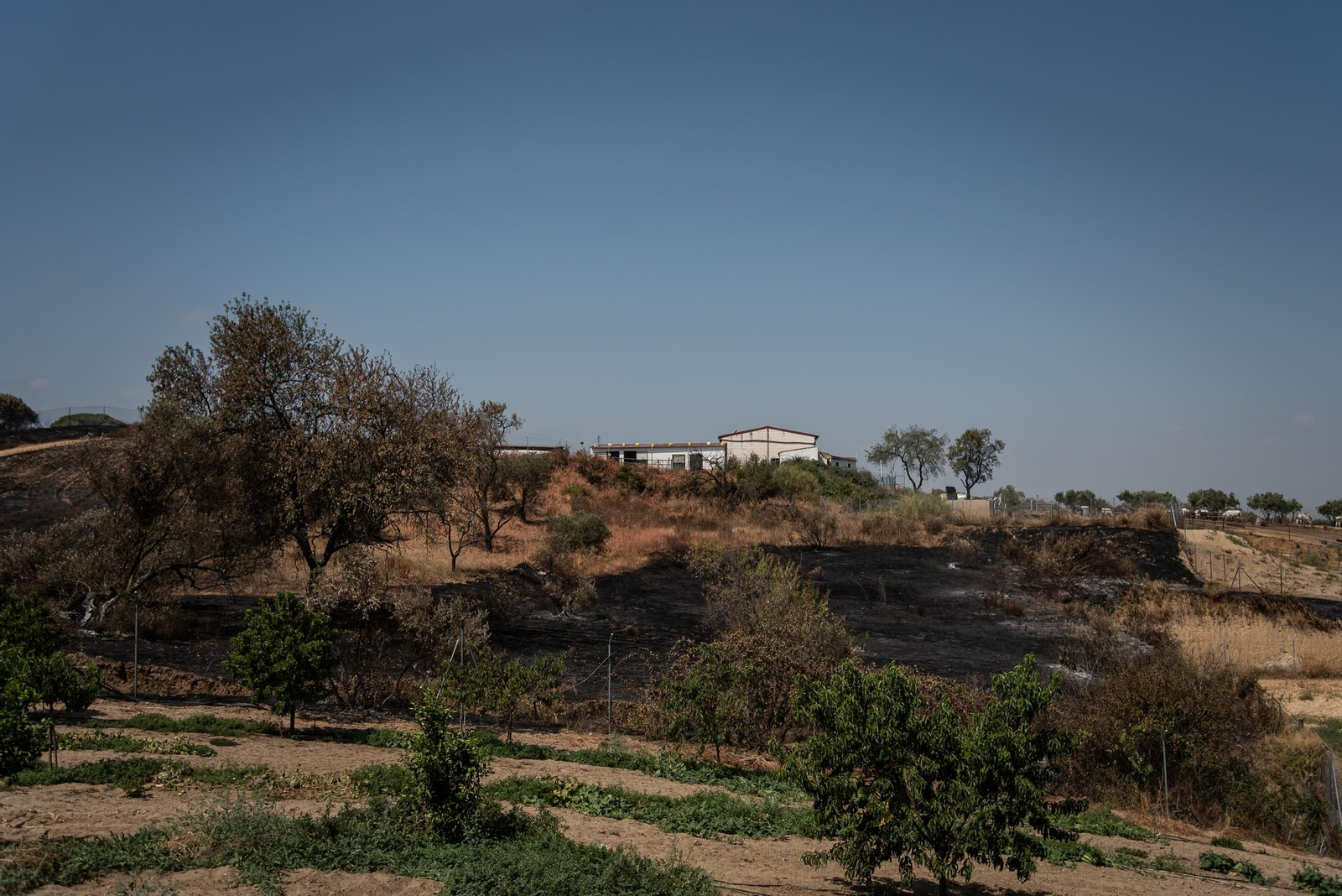 Imágenes de los destrozos causados por el incendio de Lucena del Puerto